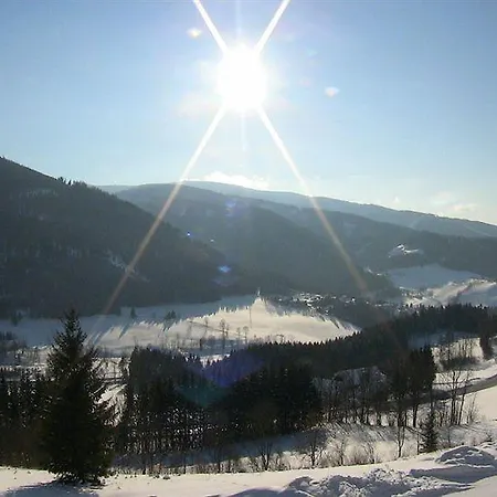 Hotel Alpenhof Semmering 3*