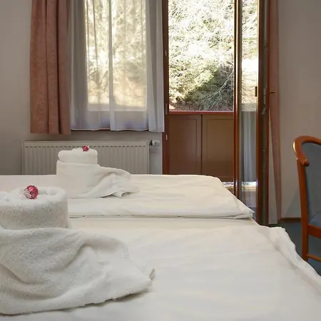Alpenhof Semmering 3*