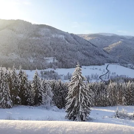 Alpenhof Semmering Hotel